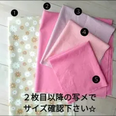 はぎれ　セット  〜150cm