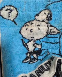 【最終価格】スヌーピー PEANUTS 断熱ペットボトルカバー 小物入れ