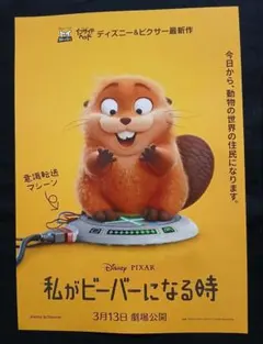 【フライヤー】私がビーバーになる時