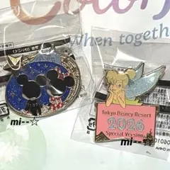 ディズニー ピンバッジ 202スペシャルバージョン ティンカーベル夜限定ミッキー