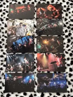 2026年最新】神聖かまってちゃん チェキの人気アイテム - メルカリ