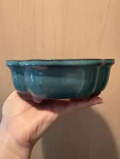 陶器　鉢　緑　高級感　多肉植物　リトープス　コノフィツム　など用