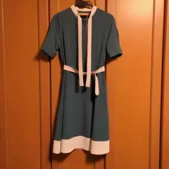 F i.n.t ワンピースのサムネイル