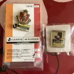 2013 J.LEAGUE AWARDS Jリーグ アウォーズ 記念ピンバッジ - メルカリ