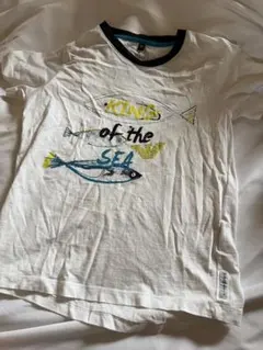 ARMANI JUNIOR 魚 半袖Tシャツ 130cm 男の子のサムネイル