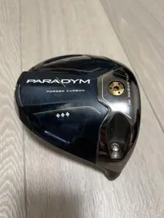 2026年最新】パラダイムトリプルダイヤモンド ドライバー 9の人気