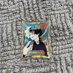 ヒロアカ　轟焦凍　ステータスカード