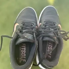Nike Fitsole スニーカー 22センチ