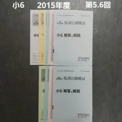 Item thumbnail for item fd67fa5e-4898-4a86-8be9-3db840c321d8