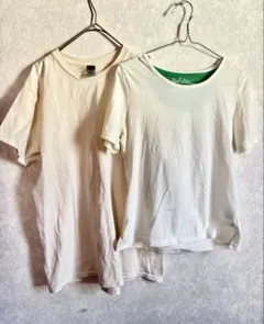 Golden bear 半袖 Tシャツ ホワイト　新品 テイシャツ　セット　美品のサムネイル