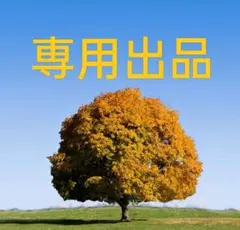 TAKATAKA 25日〜29日発送不可様専用出品40枚