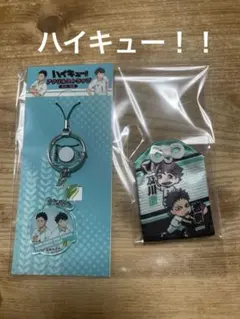 ハイキュー 及川 岩泉