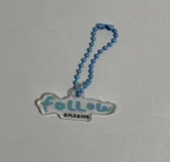 セブチ seventeen follow キーリング アクキー ドギョム DK