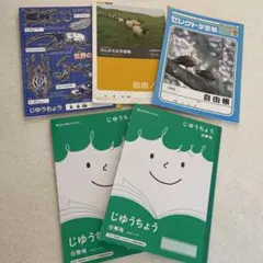 Item thumbnail for item 78ece6a4-7ff1-4f18-8823-94a4d632d4cf