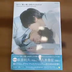 TVドラマ「美しい彼」公式ビジュアルブック