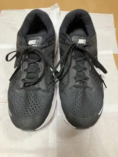 NIKE ナイキ　ランニングシューズ　メンズ　28cm airzoomのサムネイル