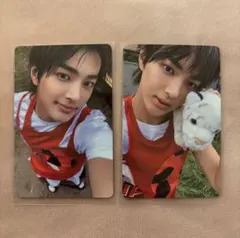 コルティス ゴンホ