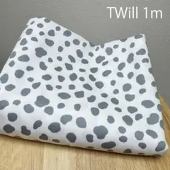 Item thumbnail for item 6adb124d-d288-40d9-b393-8d587996a05a