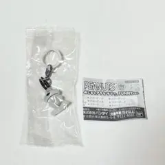 PEANUTS めじるしアクセサリー FUNNY ver. スヌーピーB