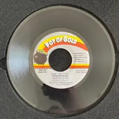 RISE AND FALL 7inchレコード