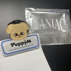 SKZOO ランダム　ネームバッジ