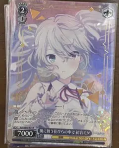 プロセカ ヴァイスシュヴァルツ コレクションパック 初音ミク ニーゴ ミク