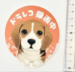 Item thumbnail for item da49b9cf-8e97-41ad-986e-d91b5a948039