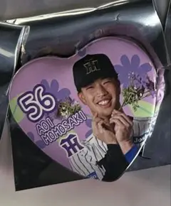 阪神タイガース　百崎蒼生　トラコ　ハート型缶バッジ