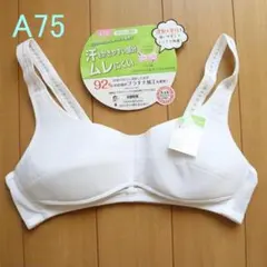 Item thumbnail for item 9fcf5f50-9269-46c1-b2a5-3160bde53416