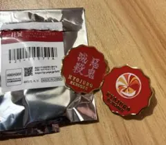 鬼滅の刃 柱展 煉獄杏寿郎 柱百景 コレクションピンズ ピンバッジ 2点セット