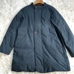 美品　パラスパレス　ノーカラーダウン 2025年最新】パラスパレス ダウンの人気アイテム - メルカリ