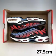 27.5cm ナイキ エアマックスプラス 