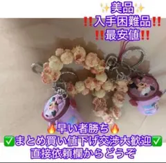 東京ディズニーリゾートポップコーンバケットキーホルダーキーチェーンミニー２点