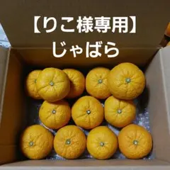 【りこ様専用】じゃばら　合計13個　1.9kg