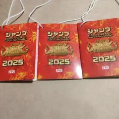 ジャンプビクトリーパスポート 2025 3枚セット