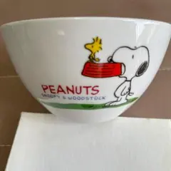 スヌーピー PEANUTS SNOOPY＆WOODSTOCK ボウル