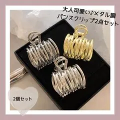 メタルヘアクリップ 2点セット バンスクリップ 大人可愛い