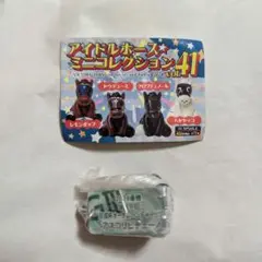 アイドルホースミニコレクションvol.41　アスコリピチェーノ