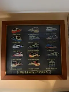 第6回 伊豆急全線ウォーク完歩記念 鉄道ピンバッジ額装 - メルカリ
