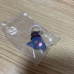 JOCHUM めじるしアクセサリー　レイン