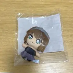 セガラッキーくじ 名探偵コナンD賞 ぬいぐるみマスコット 灰原哀