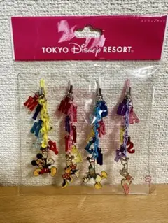 東京ディズニーリゾート　ストラップ　４種類 東京ディズニーリゾート ストラップ 4個セット - メルカリ