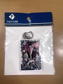 2025 北海道日本ハムファイターズ　非売品 超限定 超夏はっぴ2枚セット 超夏ハッピ受注販売！えふたんグッズも | 北海道日本ハム