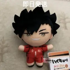 【バラ売り可】ハイキュー!! みにコレ！ぬいぐるみ マスコット 二口堅治 及川徹 バラ売り可】ハイキュー!! みにコレ！ぬいぐるみ マスコット 二