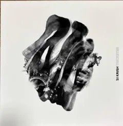 DJ Krush - STRICTLY TURNTAIZED レコード　LP DJ Krush / Strictly Turntablized［中古2LP］ | September Records