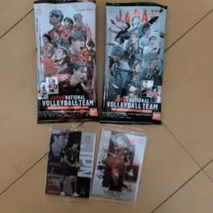 男子日本代表 バレーボール 宮浦健人 メタリックプラカード　2枚セット　新品