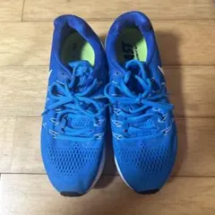 Item thumbnail for item 0030c49e-f228-4654-ae2b-e164ebfa84d0