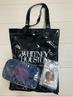 Item thumbnail for item f795015a-d850-4e83-8fbb-49c9c3e3bf4a