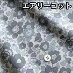 Item thumbnail for item a325cd38-9a9f-42c5-96ff-4e252b271d7e