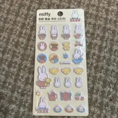 Item thumbnail for item 6518f84f-aa0f-48c6-bf8d-817cb00d1533